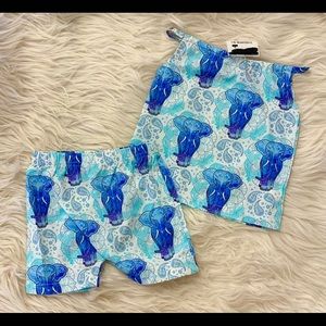 Girls boutique elephant set